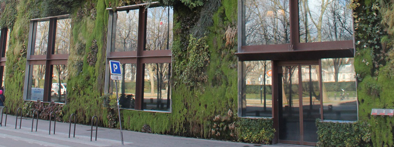 giardino verticale