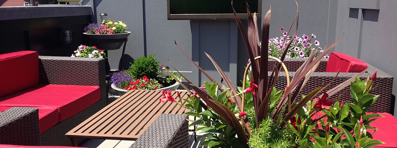 balcone